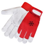 CAPRA <span>313</span>