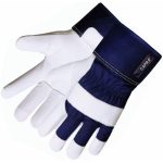 CAPRA <span>145</span>