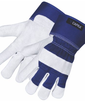 CAPRA <span>149</span>