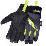 CAPRA <span>303</span>