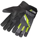 CAPRA <span>303</span>