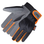 CAPRA <span>141</span>