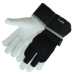 CAPRA <span>142</span>