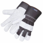 CAPRA <span>150</span>