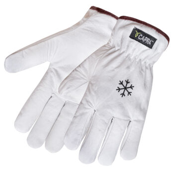 Winter Gloves
